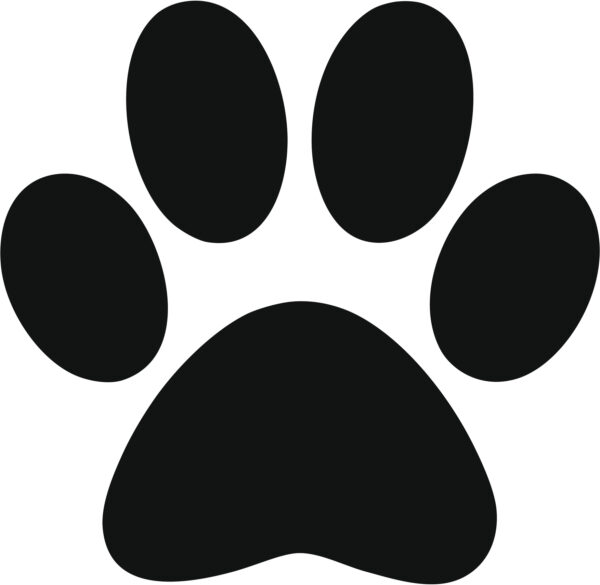 Puzzle - Unknown Breed - Image 1