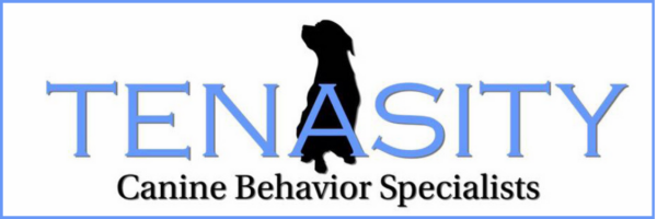 Tenasity Dog Training 2 Free Classes - Unknown Breed - Image 1