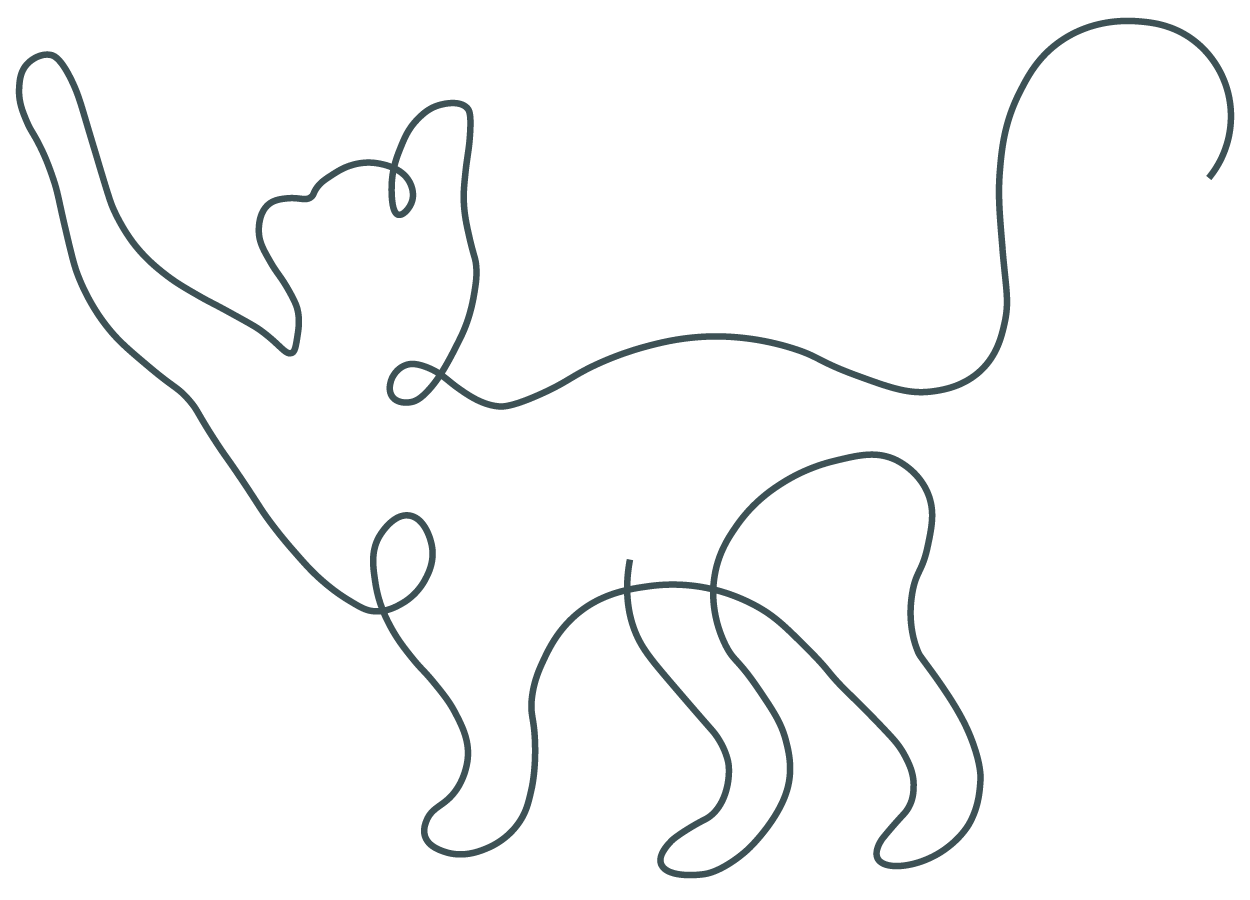 cat line drawing