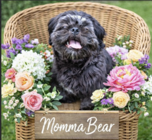 Dam (Mother)